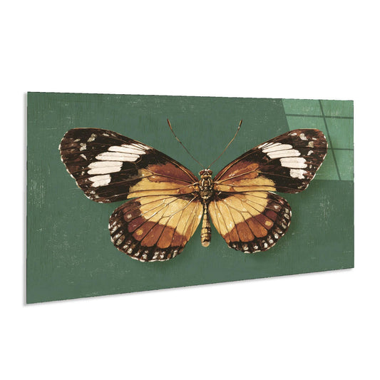 Butterfly on a green background