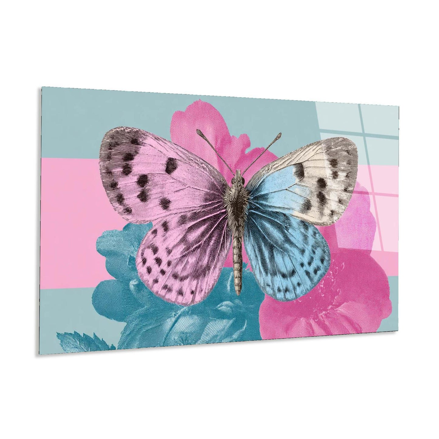 Butterfly on a pink and blue floral background