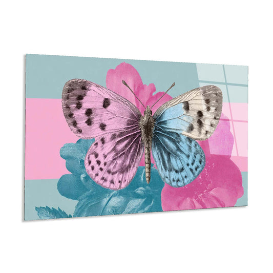 Butterfly on a pink and blue floral background