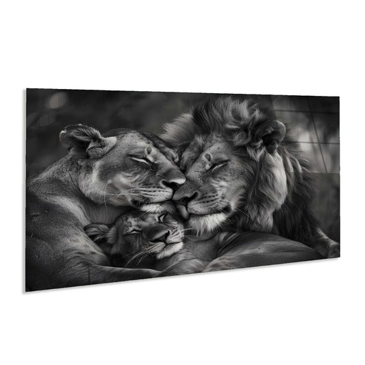 Black and white photo of a lion family with a lioness, male, and cub.