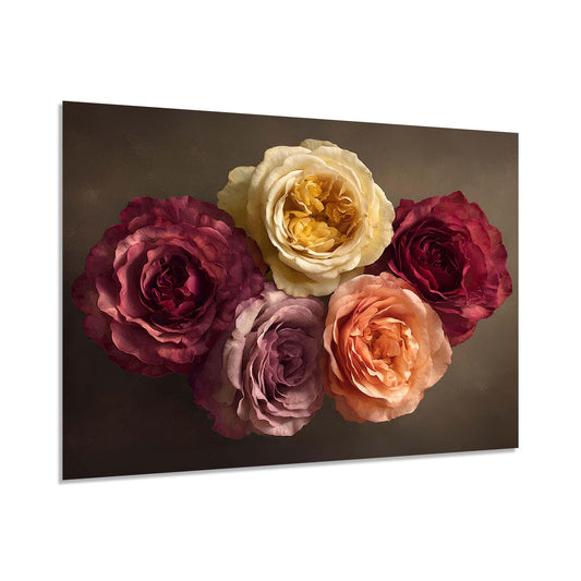 Five roses in various colors on a dark background