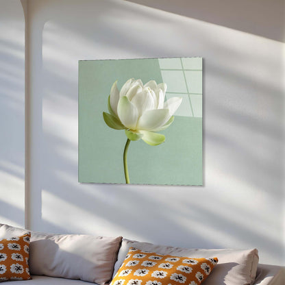 Framed artwork of a white flower on a light green background, hanging above a sofa with patterned cushions.