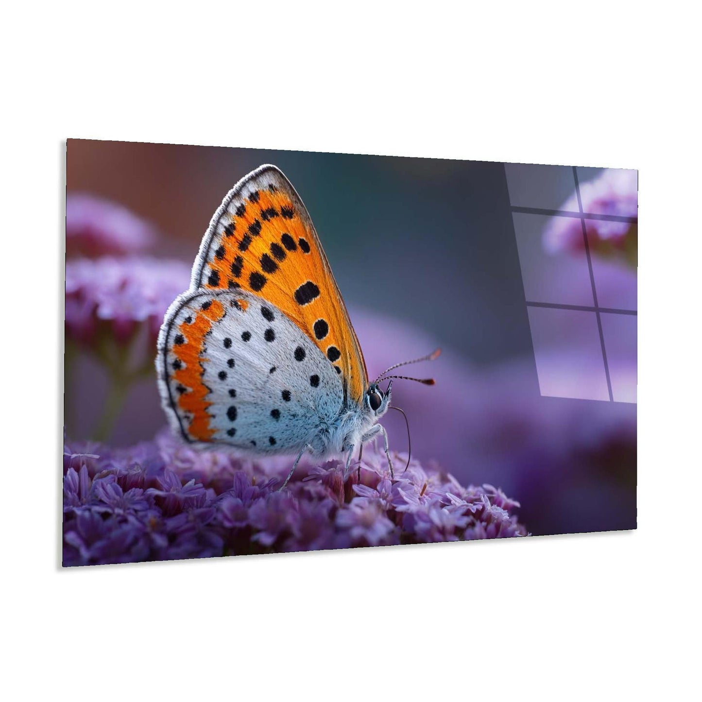 Butterfly on a flower with a blurred background