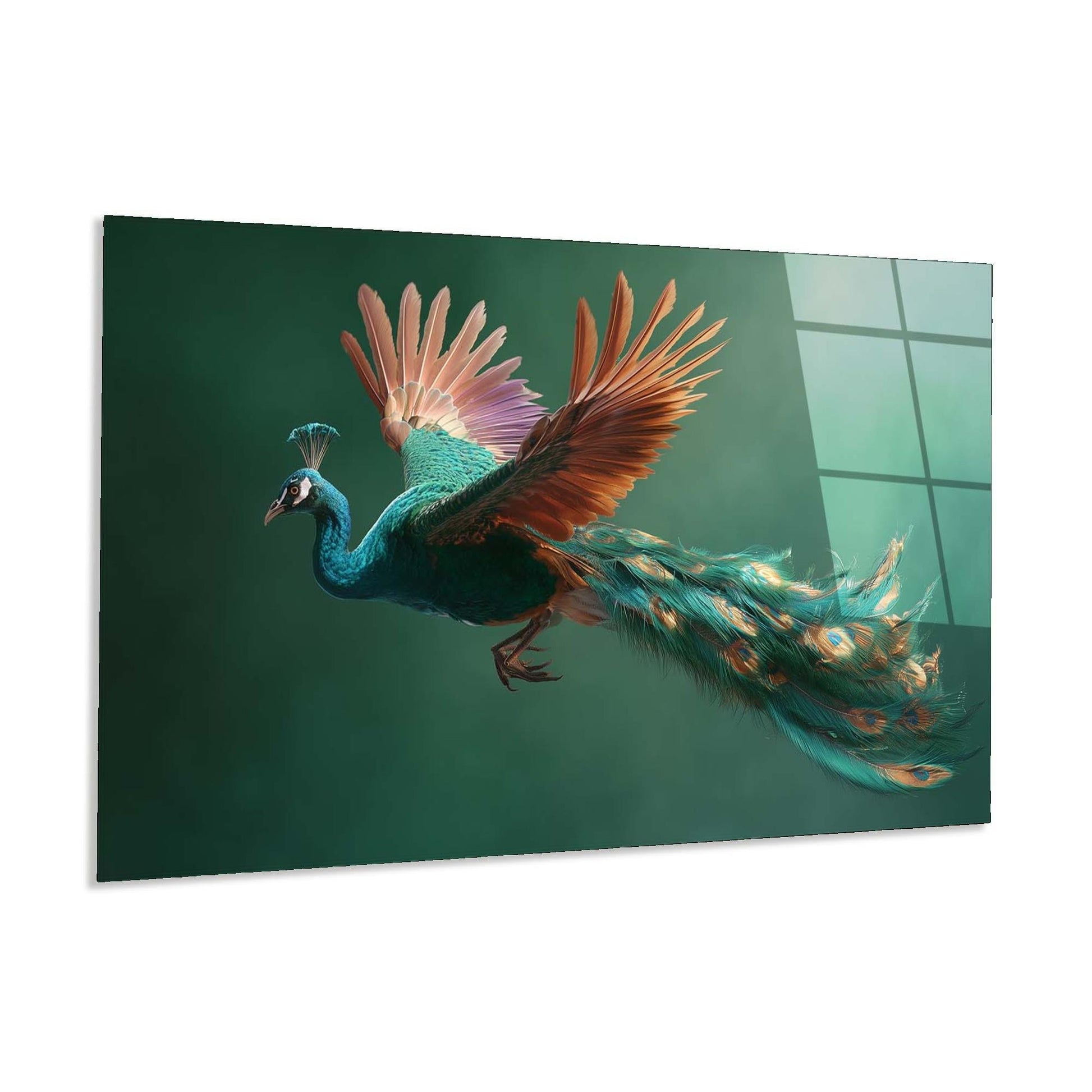 Peacock with vibrant feathers on a green background