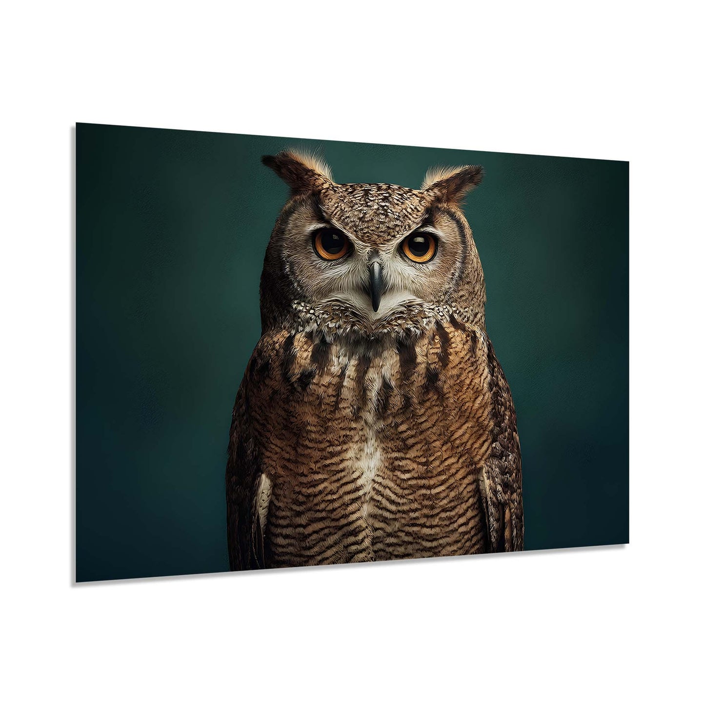 Owl on a dark green background