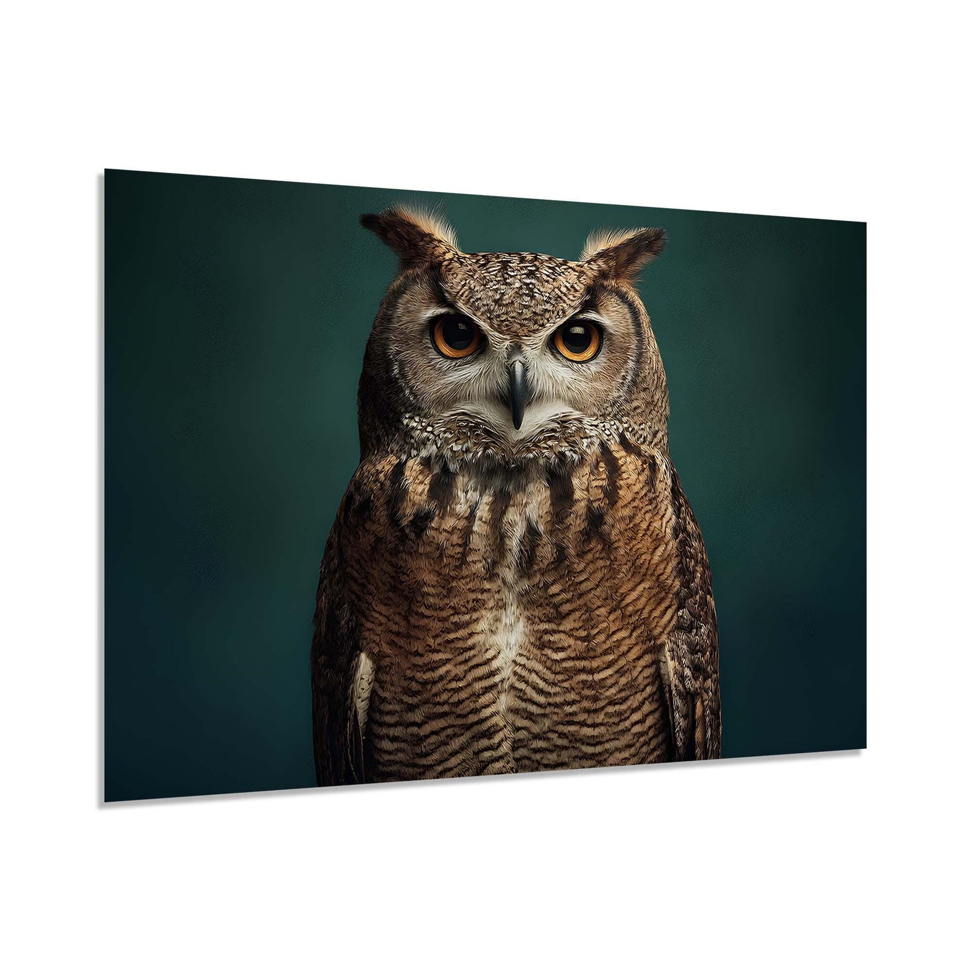 Owl on a dark green background